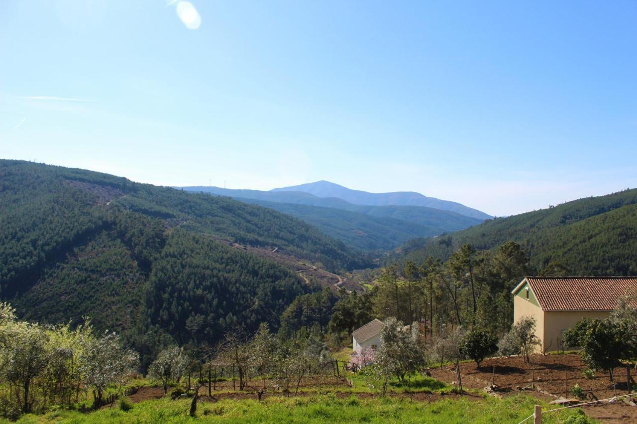 Vasco Esteves de Baixo Casa Do Avo 빌라 외부 사진